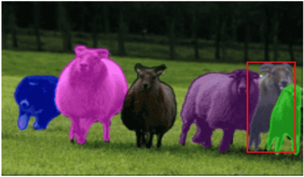 Instance segmentation and medical image annotation services